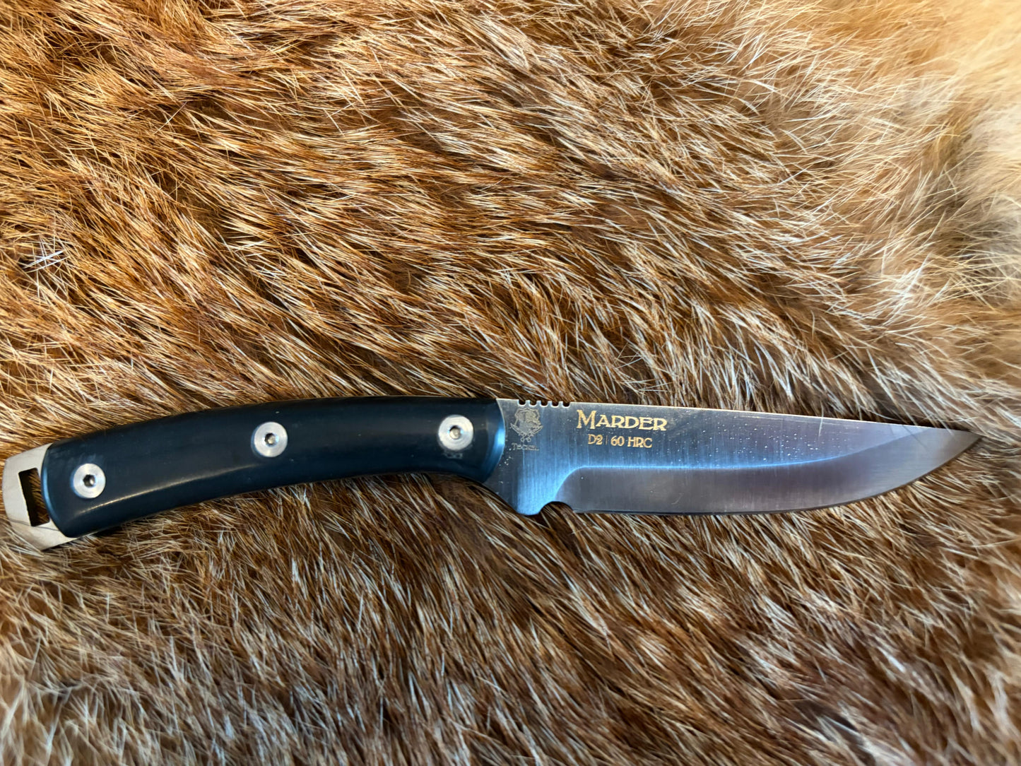 Dachshund Marder