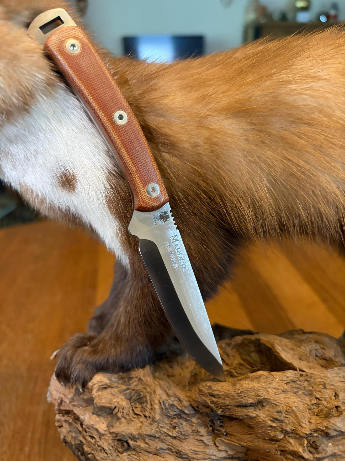 Dachshund Marder