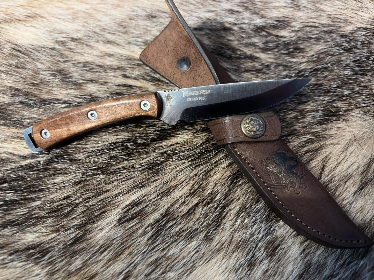 Dachshund Marder