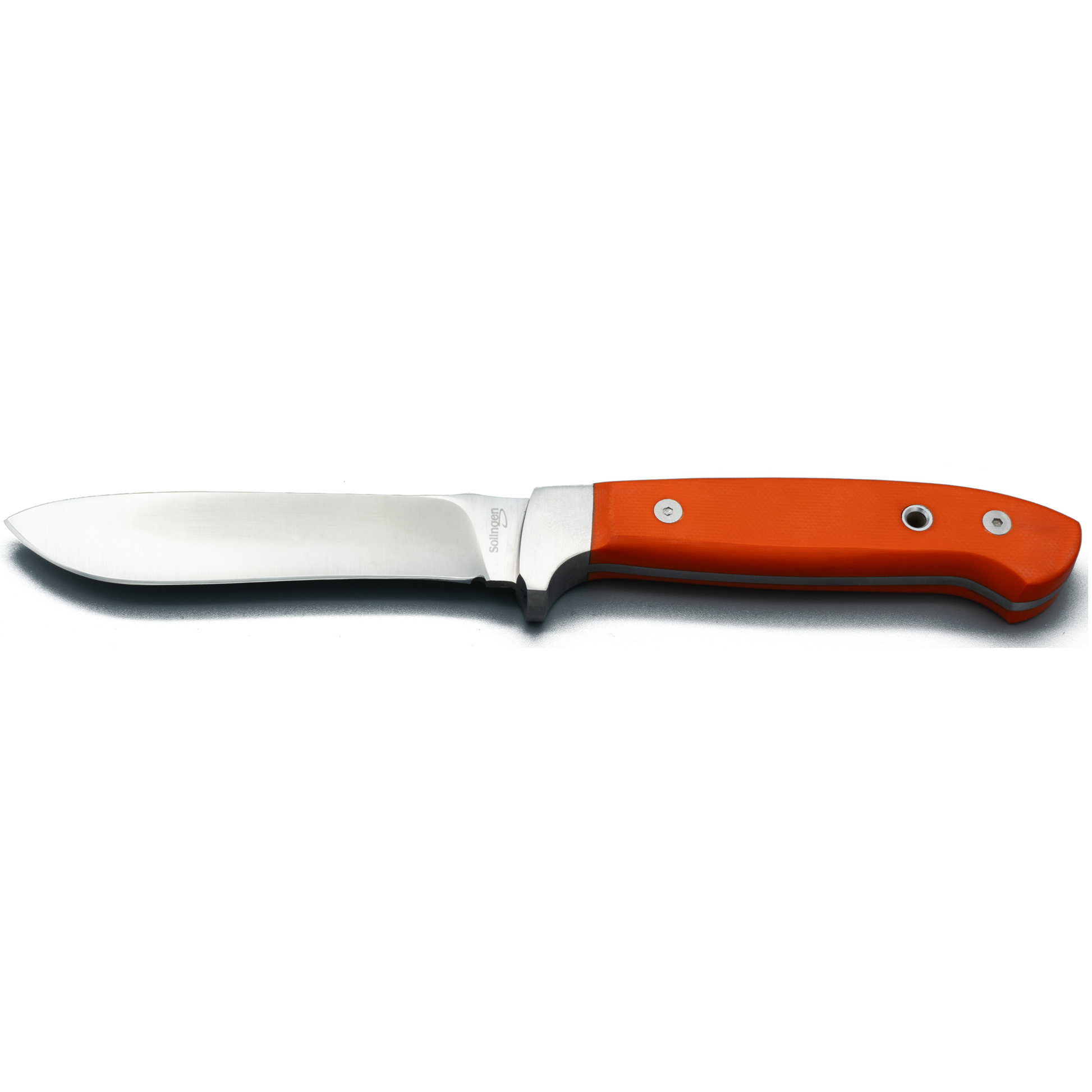 Teckel Fuchs G10 Rückseite
